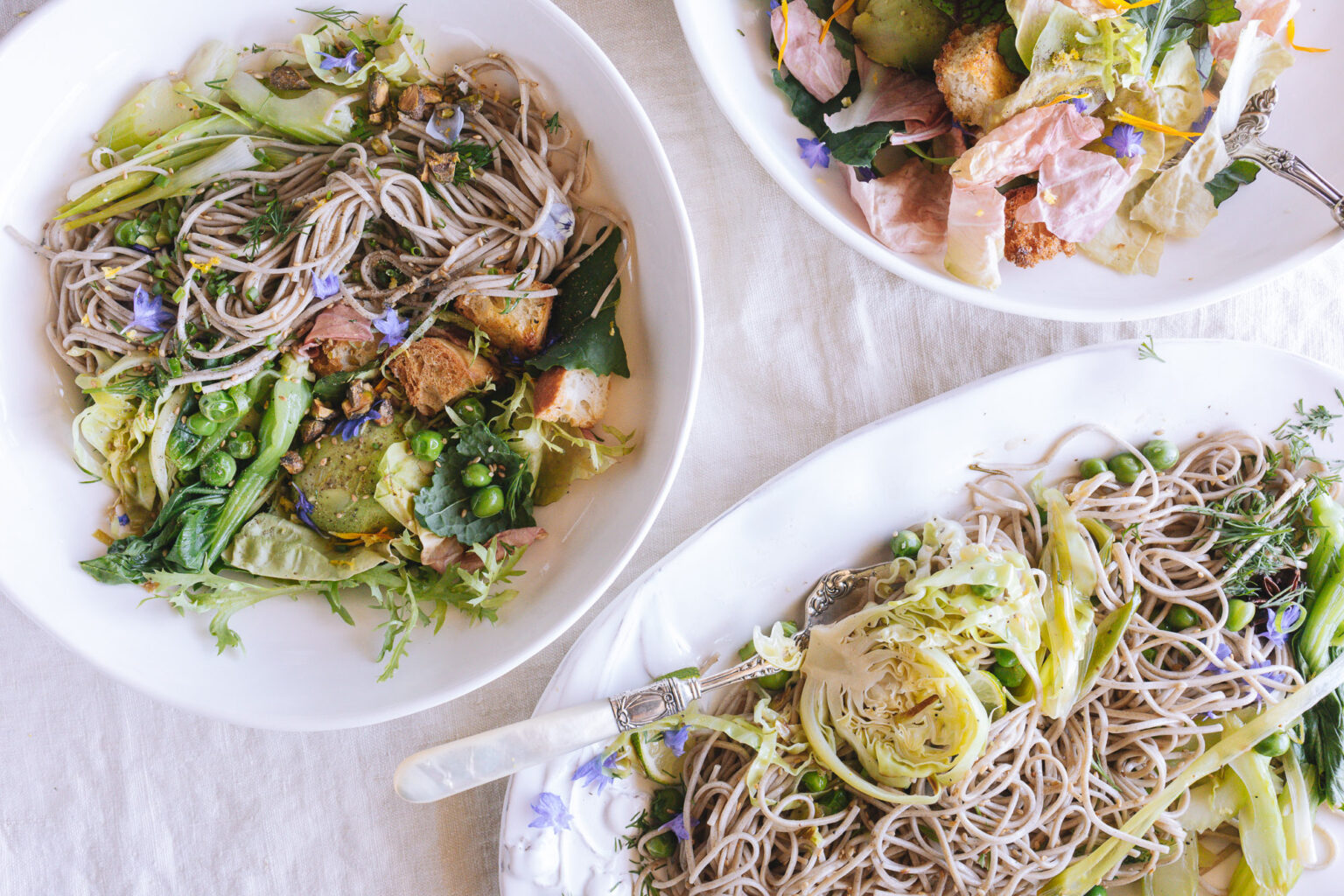 Vegan Soba Noodle Salad with Fresh Vegetables