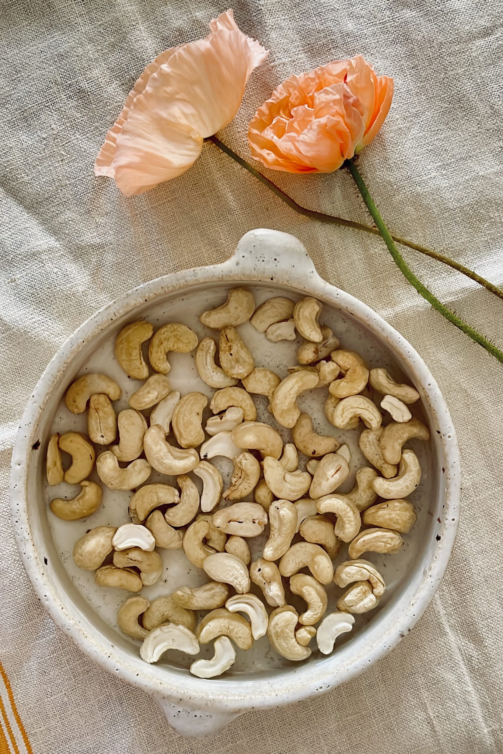 Bowl of Cashews for Vegan dip