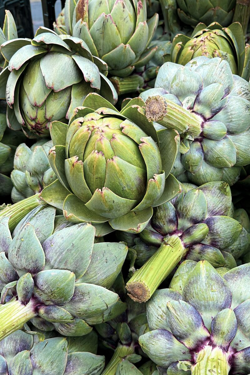 artichokes 